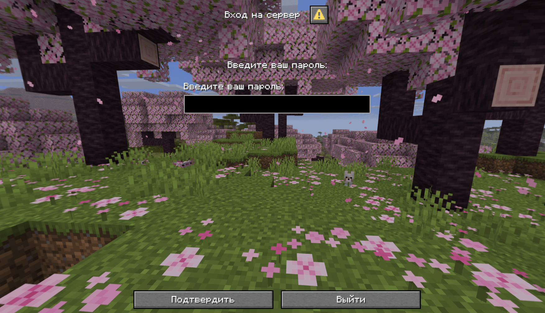 login to the server
