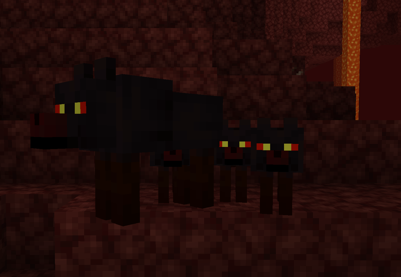 A natural hellhound pack
