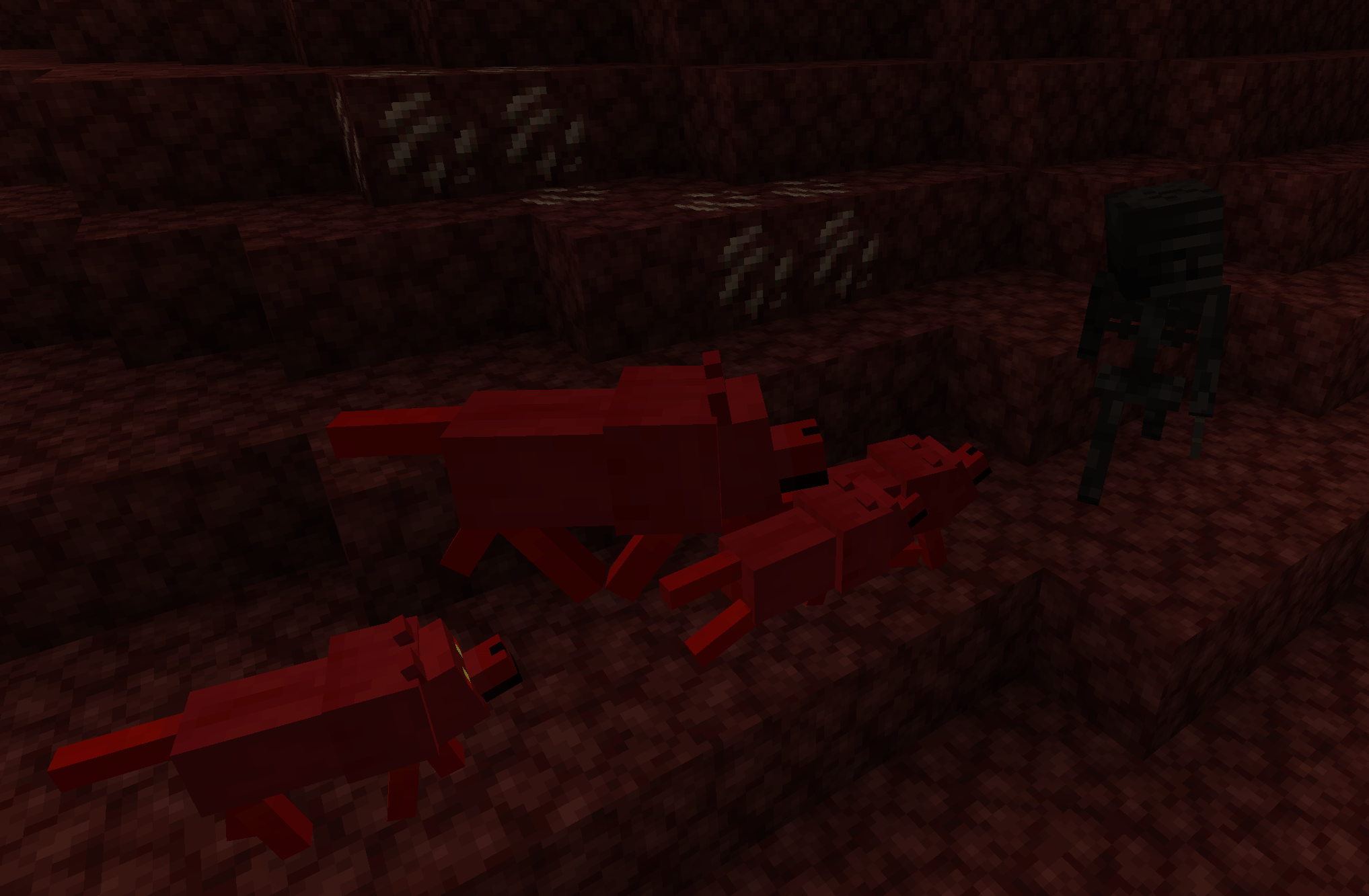 Hellhounds on the hunt