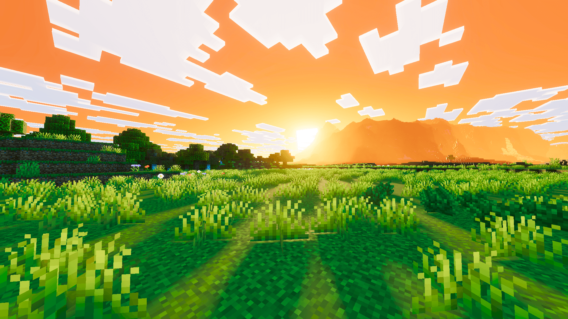 Screenshot 4.png