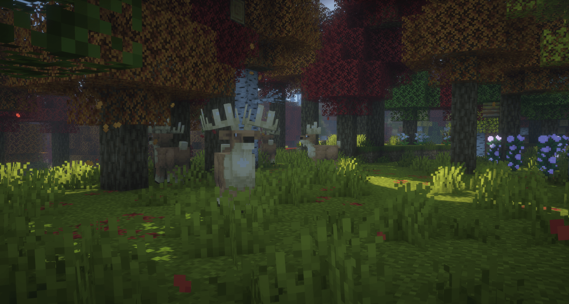 Peaceful forest life