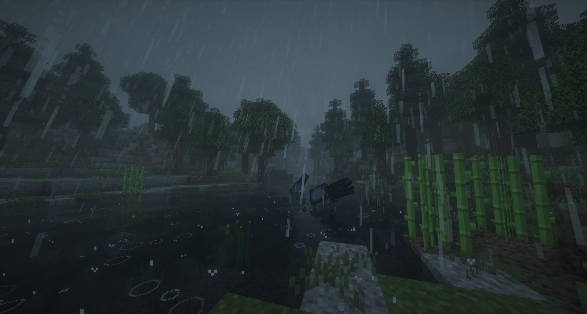 Living rainy world