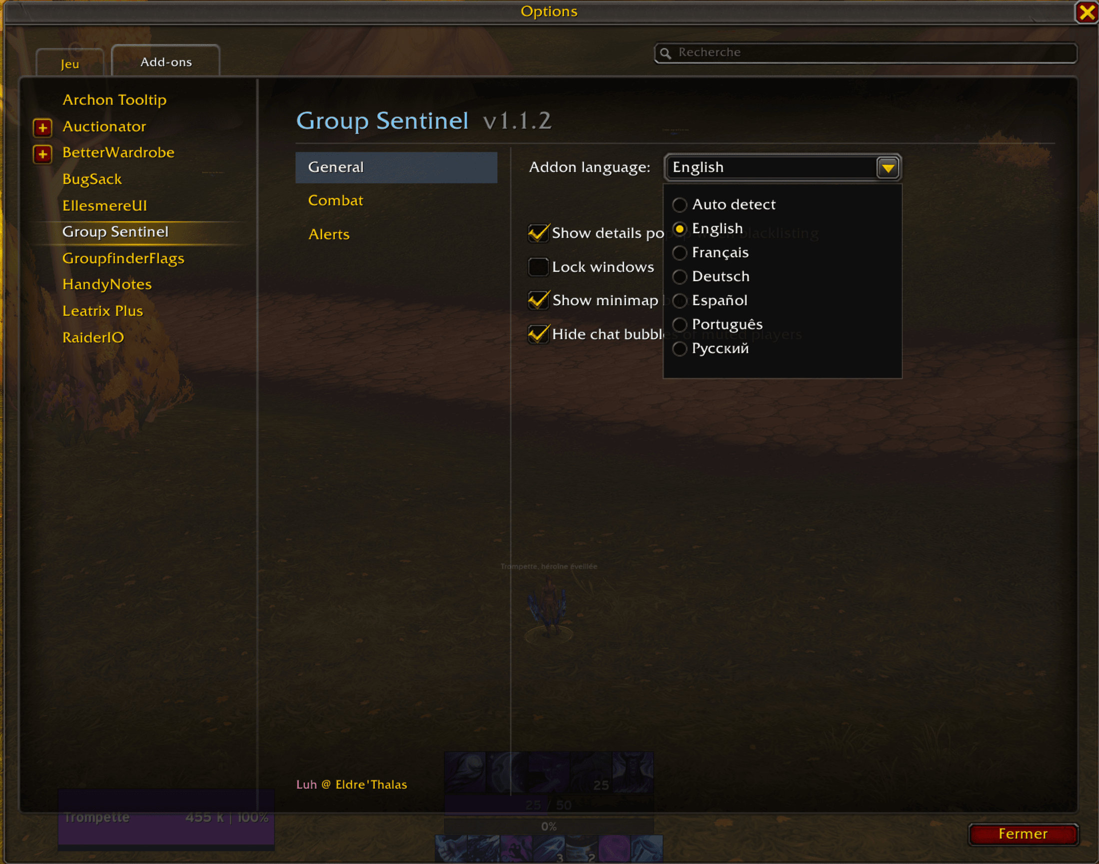 Thumbnail Core options: show the details window when adding, minimap button, lock windows, language, and hide chat bubbles for muted players.