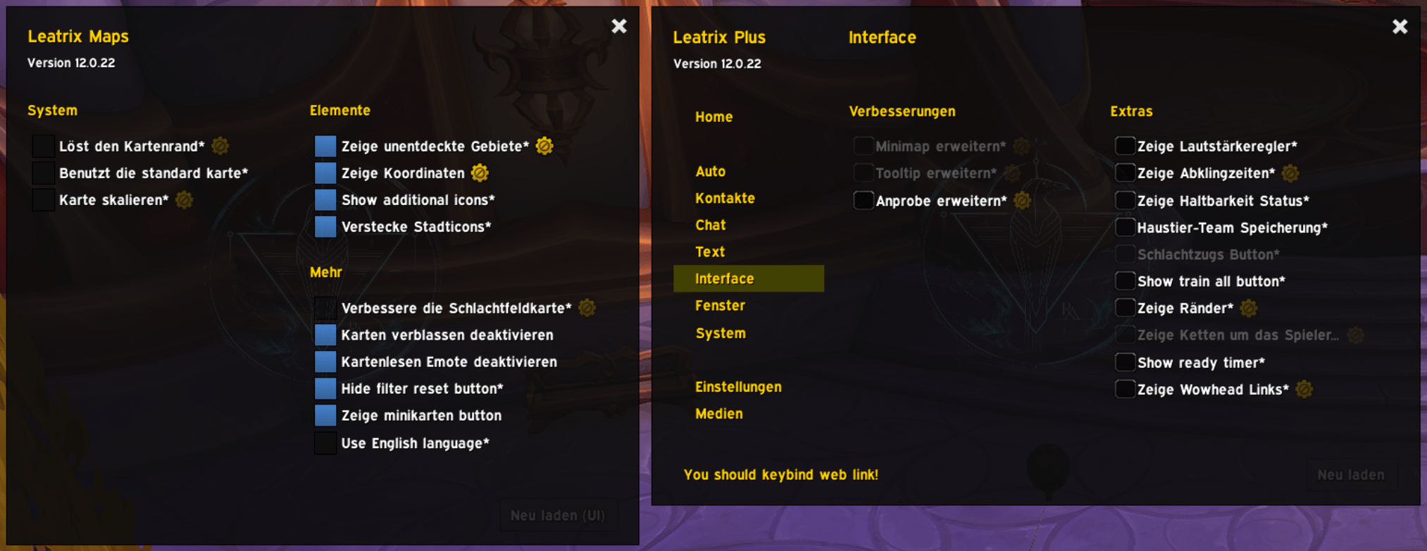 Leatrix-Skin.png