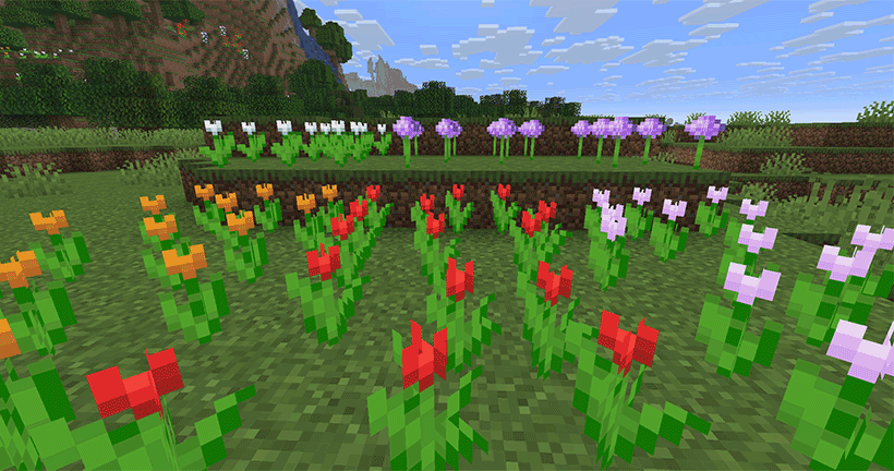 variants_of_crops_v1.2.0.gif
