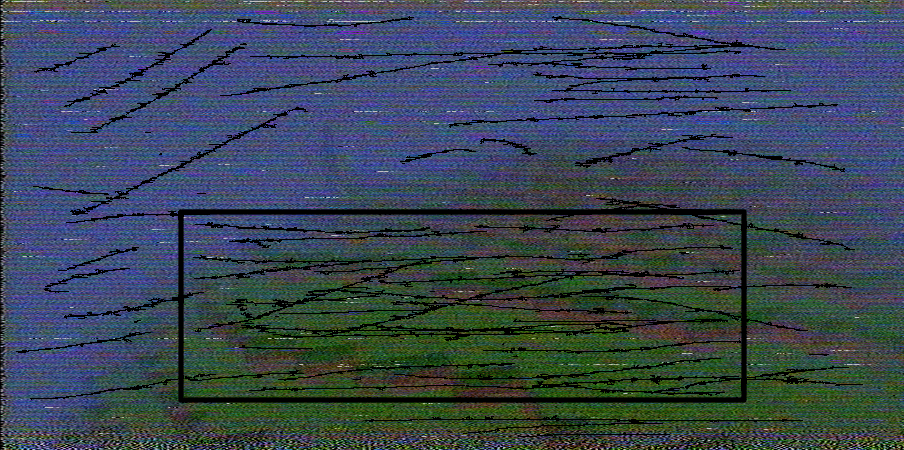 fog_transform
