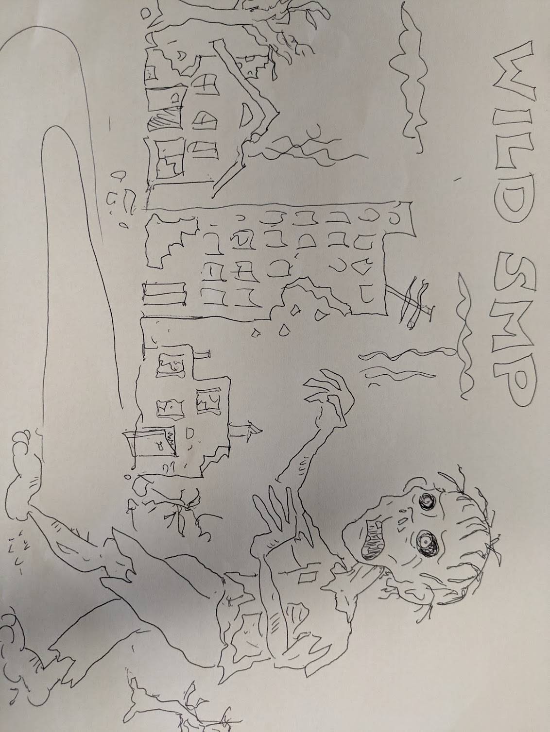 mark wild smp drawing.jpg