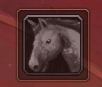 Thumbnail Generic image when no mount is matched, or no target is selected.