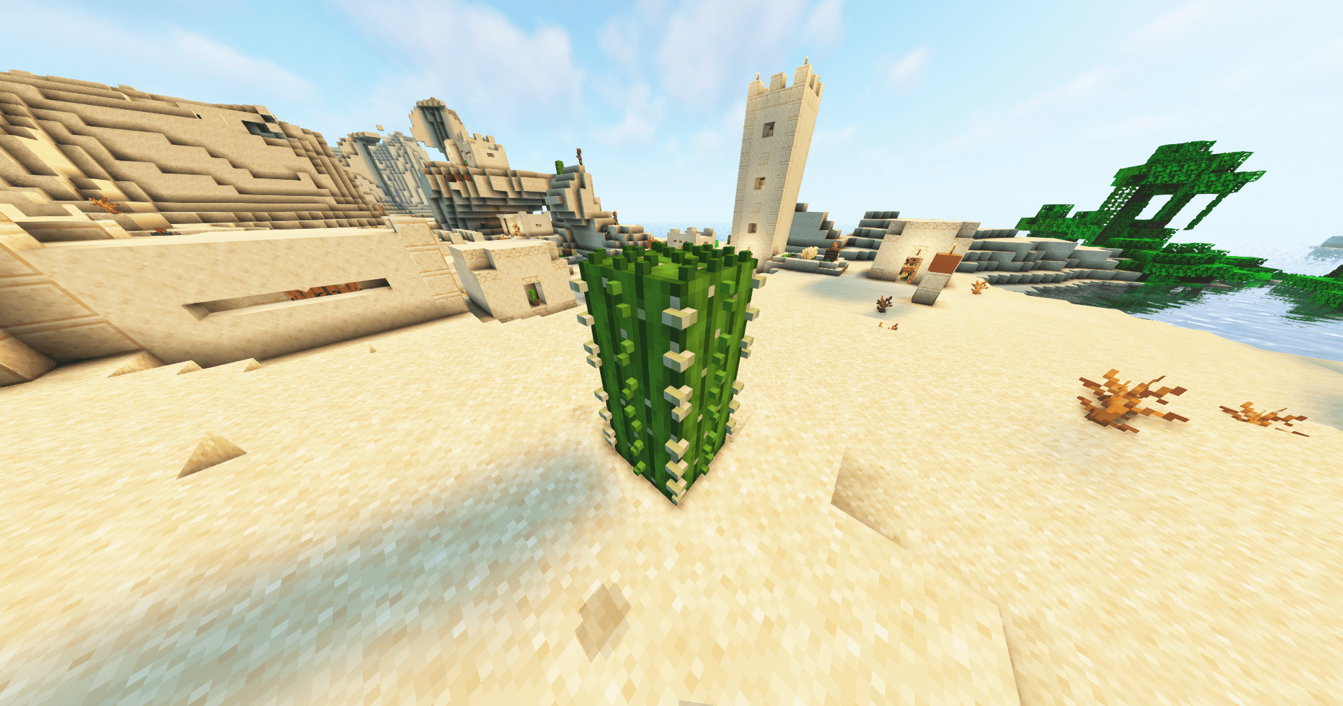 3D Cactus