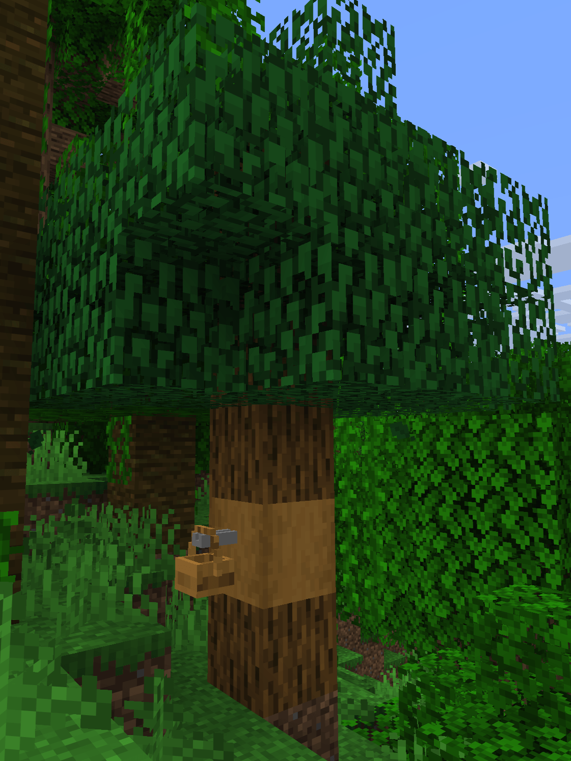 tree_tap_colocation.png