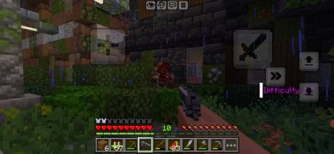 288740.jpg