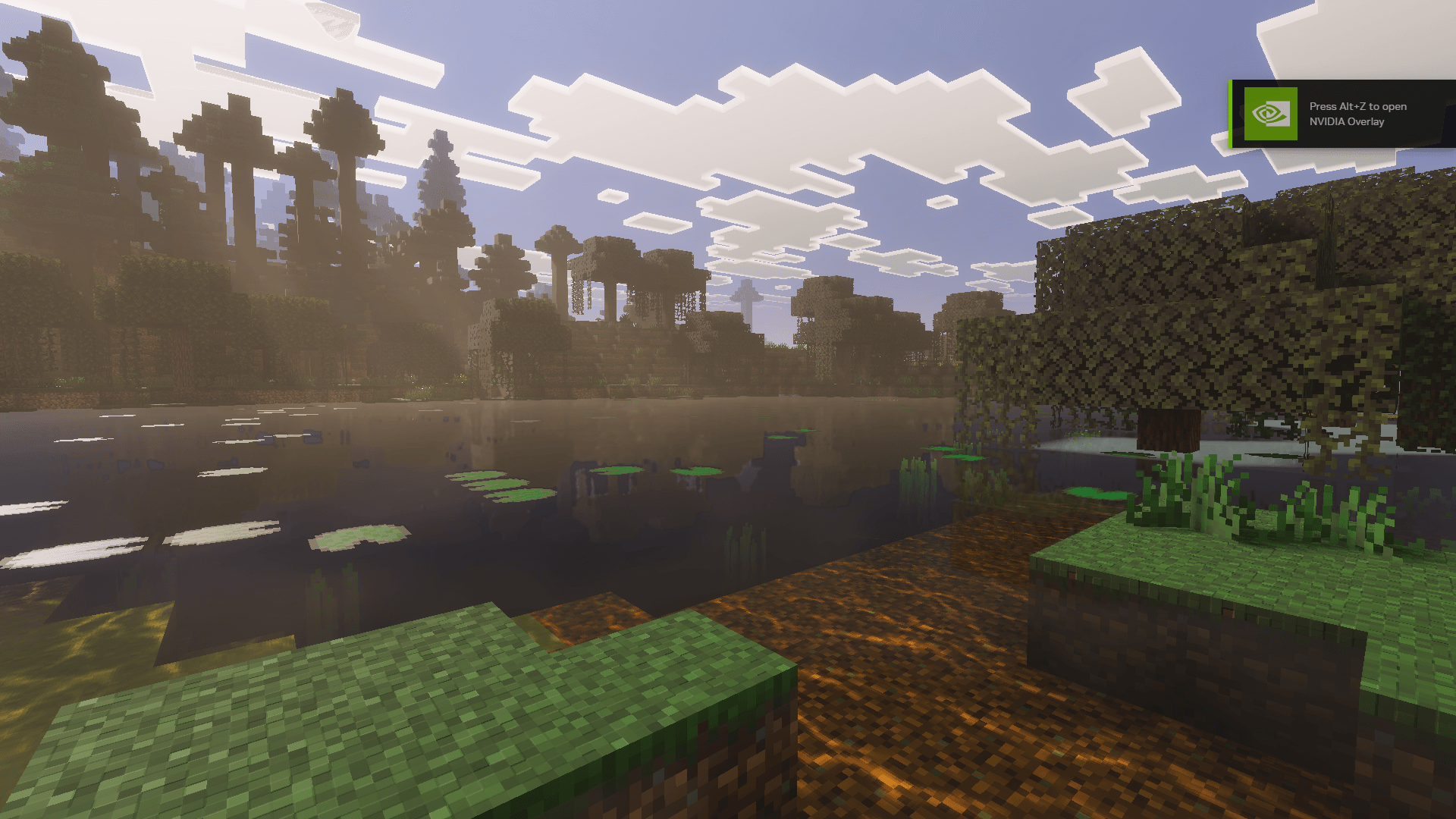 Swampland