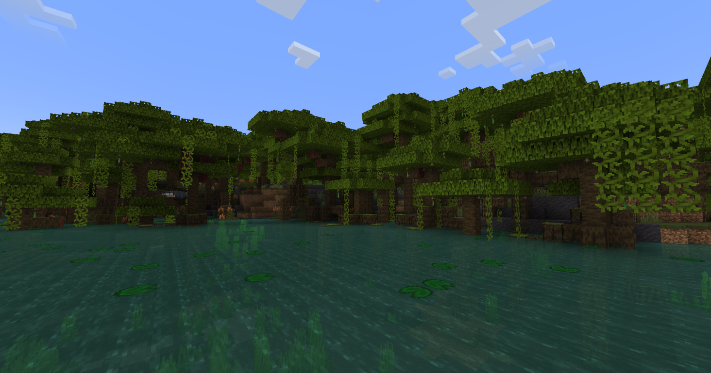Mangroves are no longer just a heap of leaves and are fun to explore now!