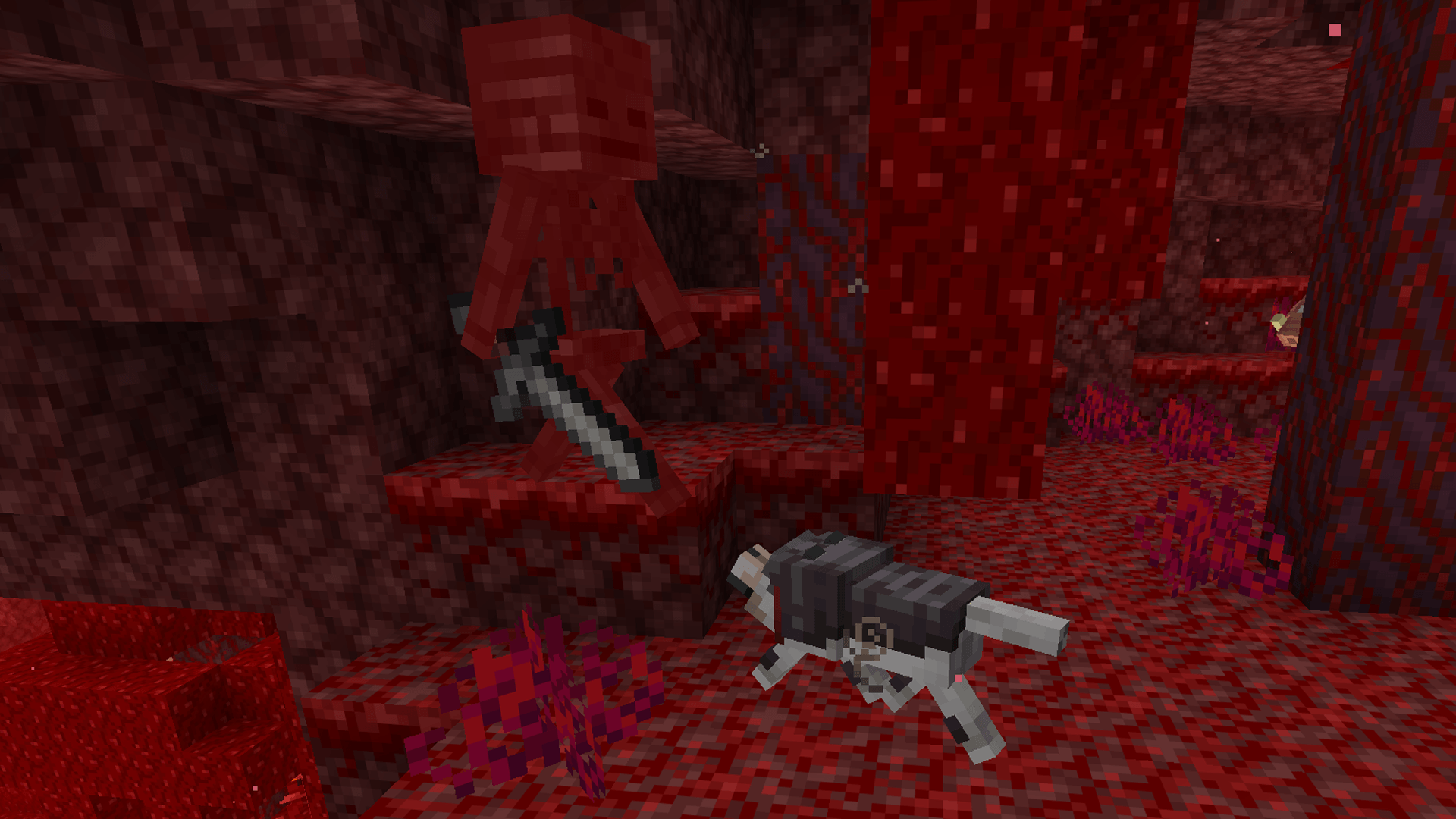 A wolf taking down a wither skeleton in a crimson forest deep in the nether.