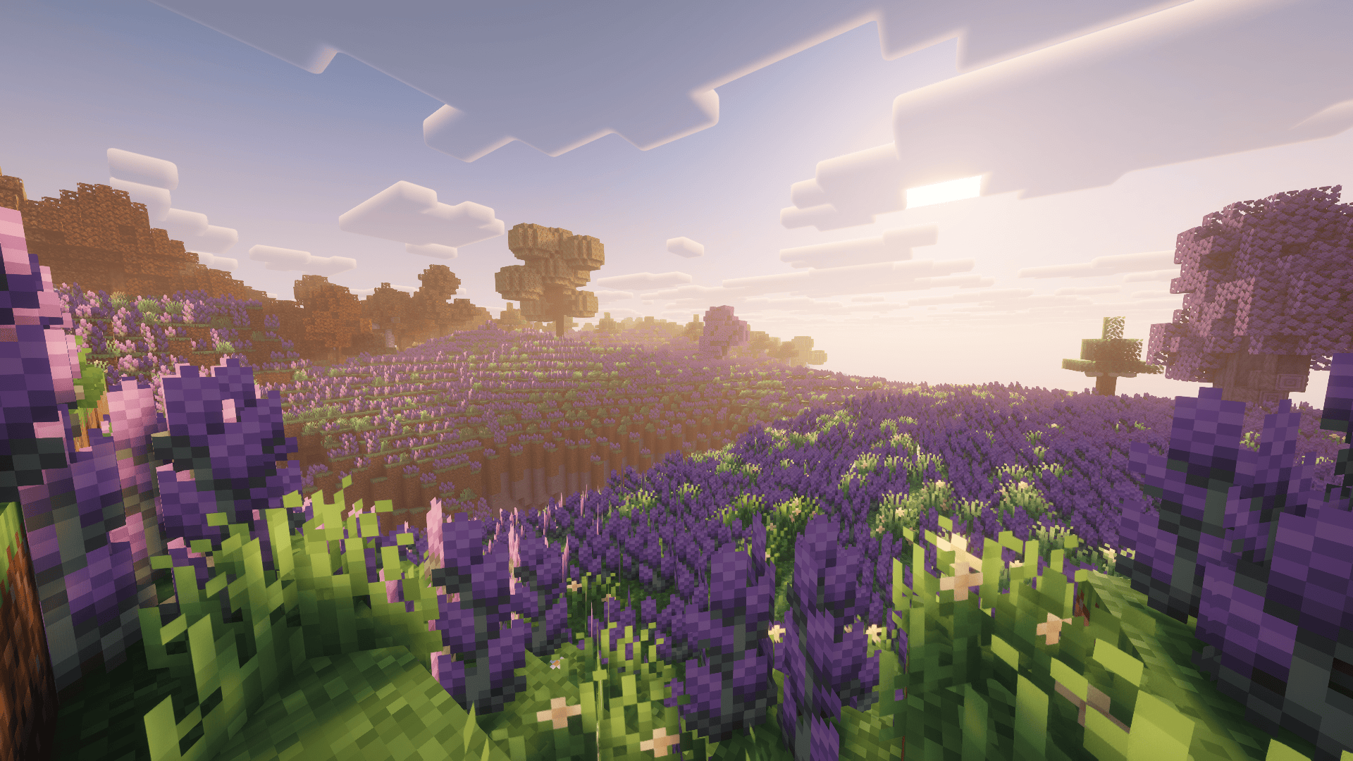 Lavender Fields: My absolute favorite biome!