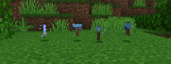 Items In The Mod