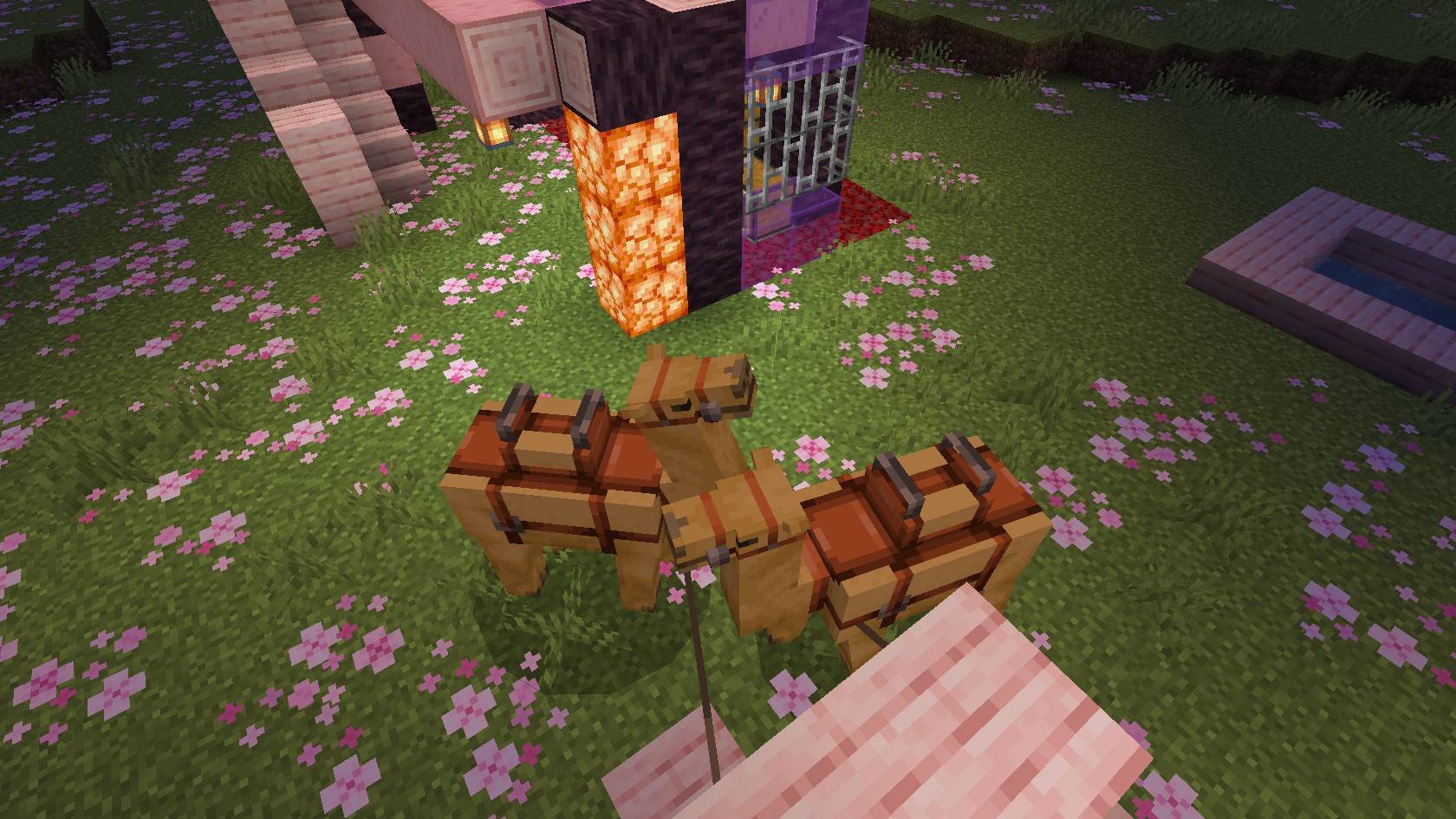 Thumbnail 88fb9a66-f88c-4ff1-9845-f0913a6491dc.jpeg