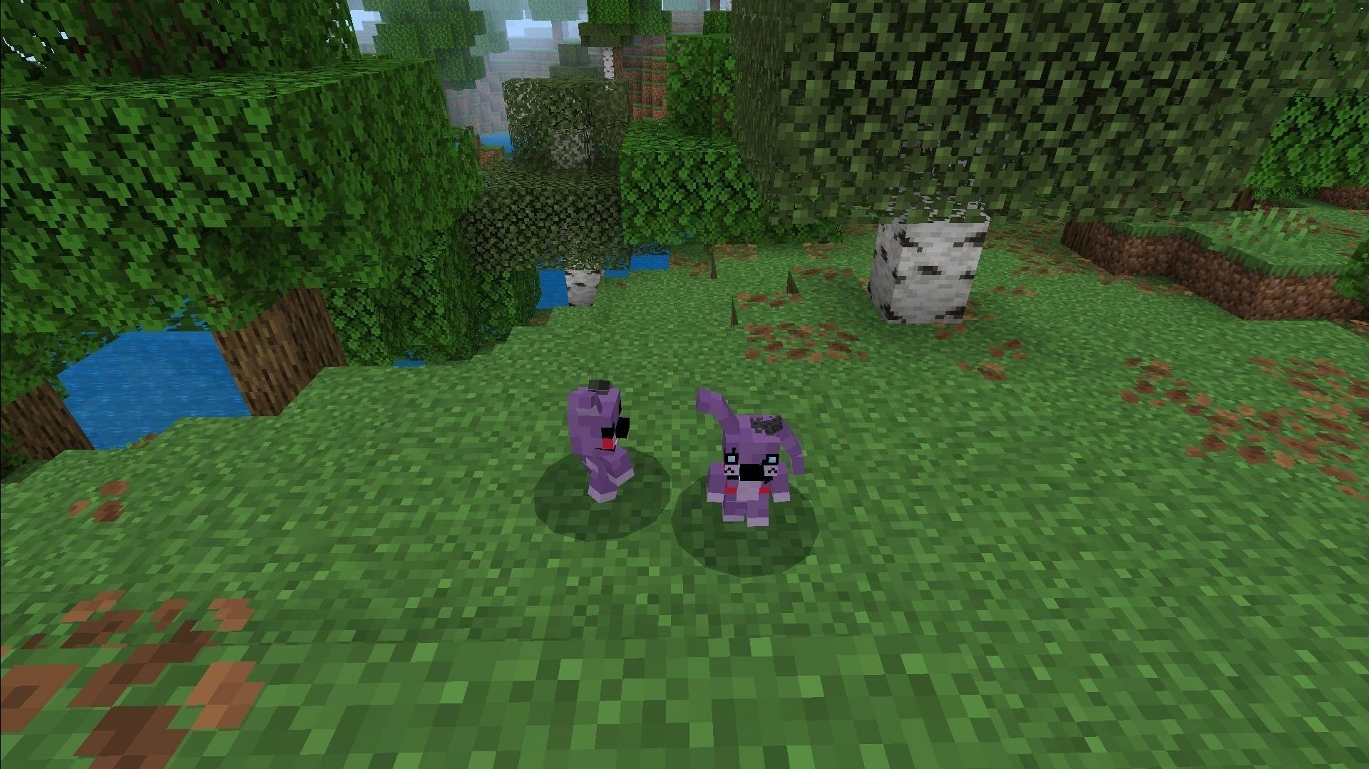 Thumbnail It's Theodore the rabbit!...