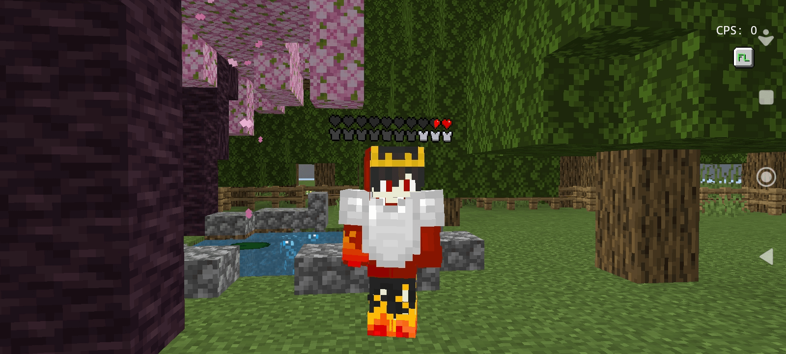 with only chestplate