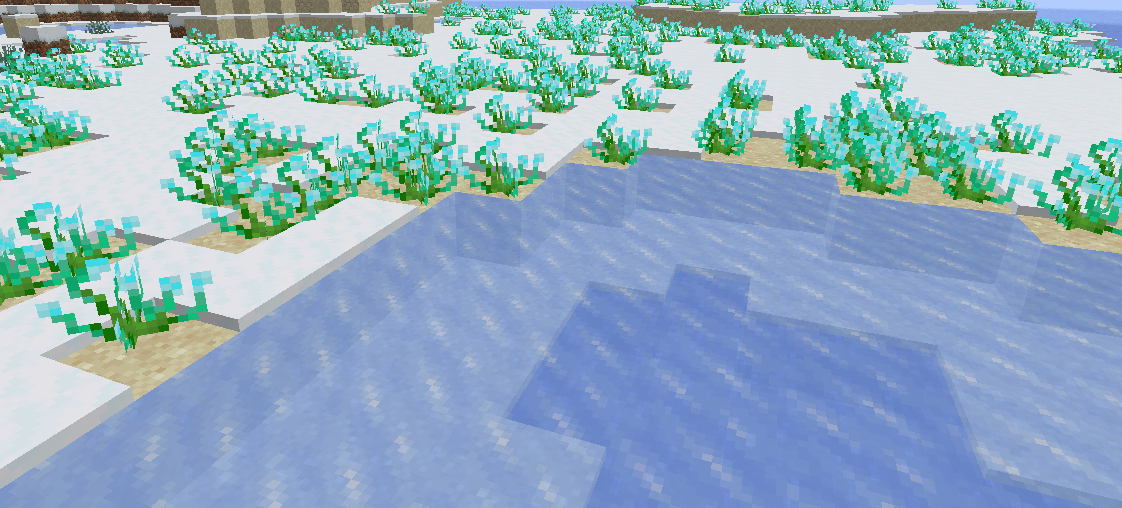 Thumbnail Frostweeds covering a Snowy Beach.
