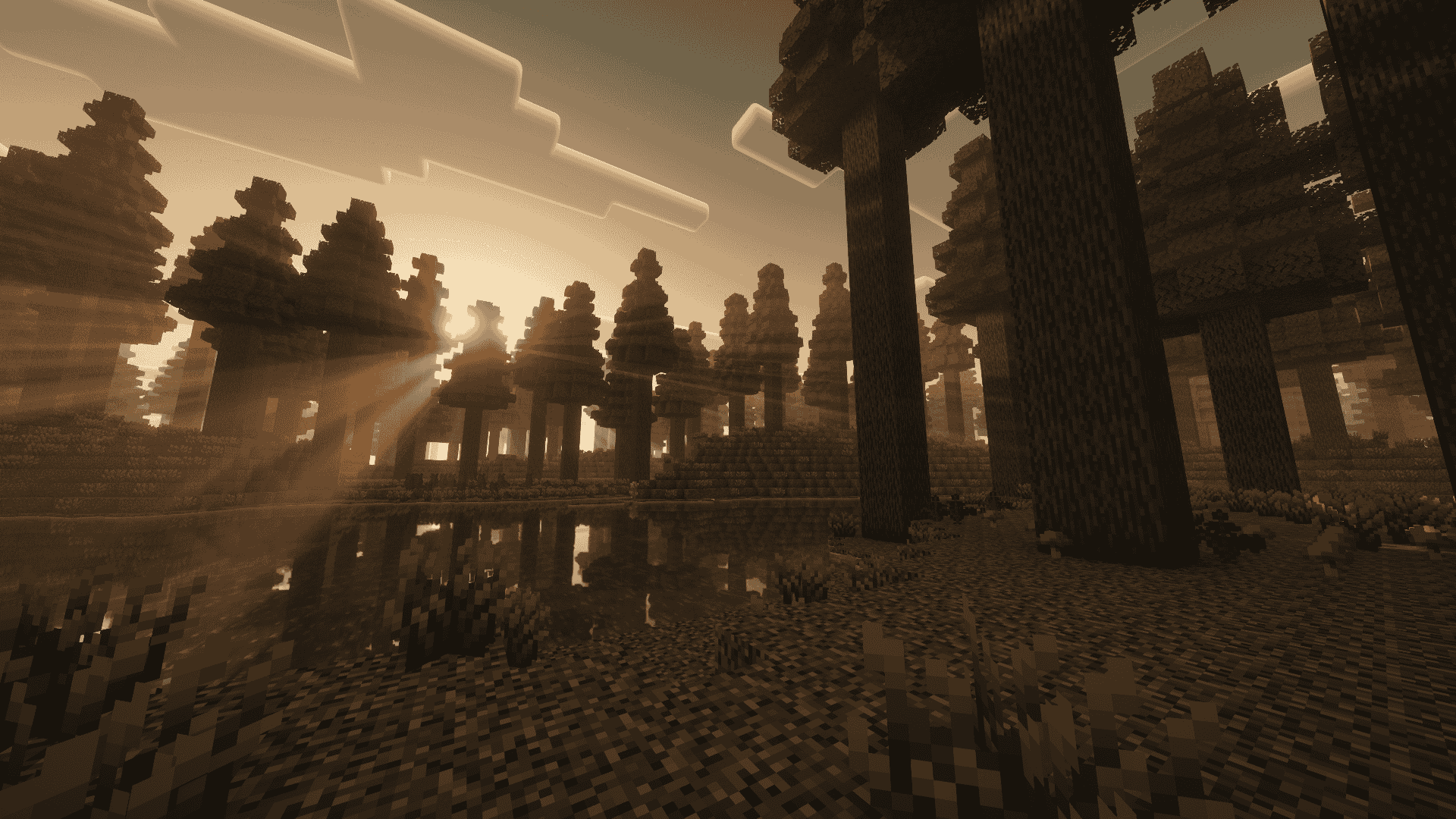 (Spoiler) The biome doesn't look this gloomy.