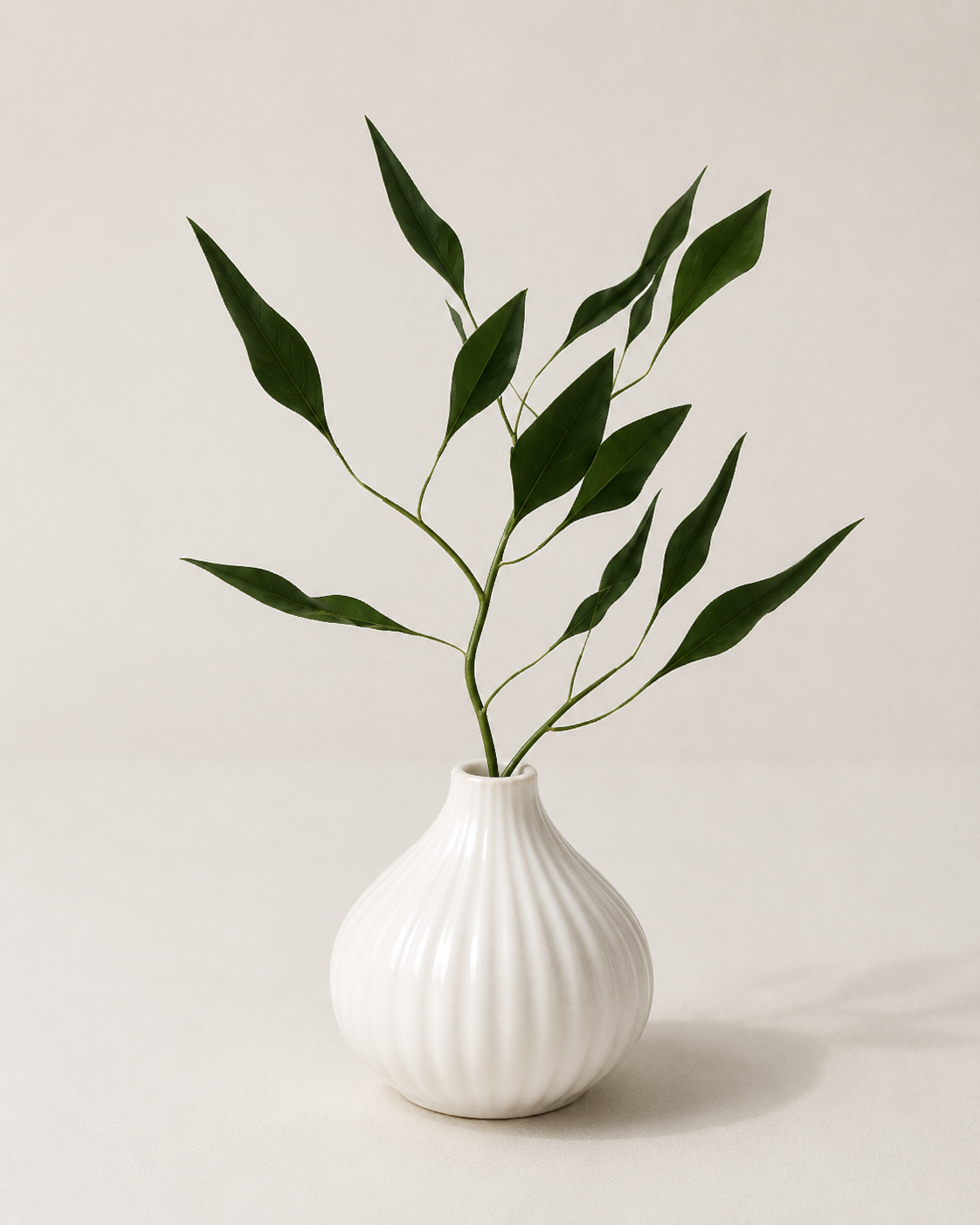 Vase And Plant [VZ]