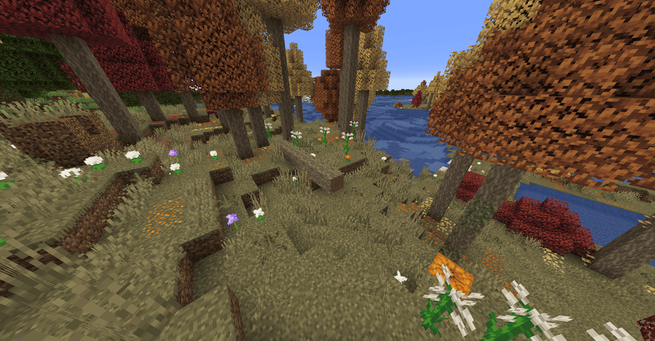 Maple Forest!