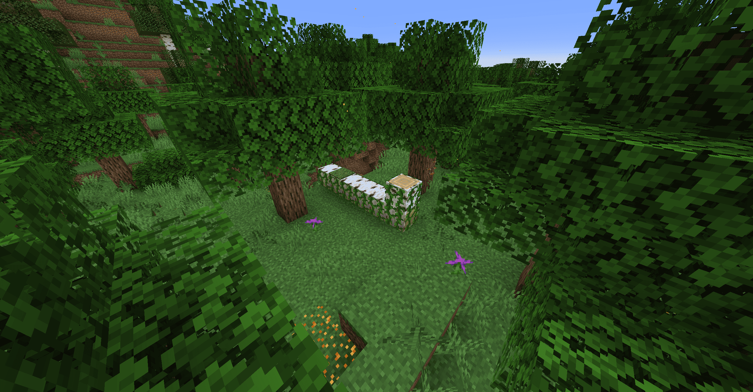 Revamped Forest!