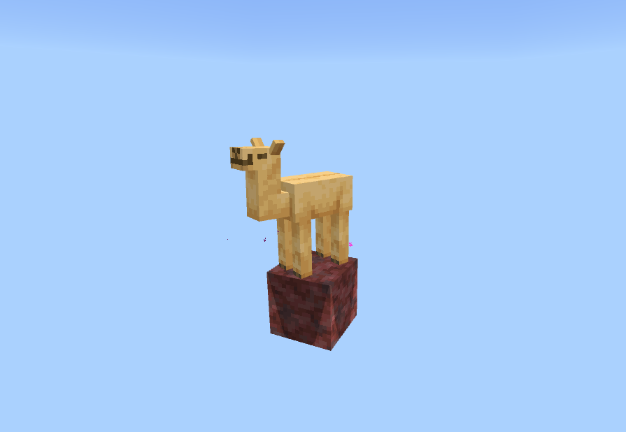 cute camel.png