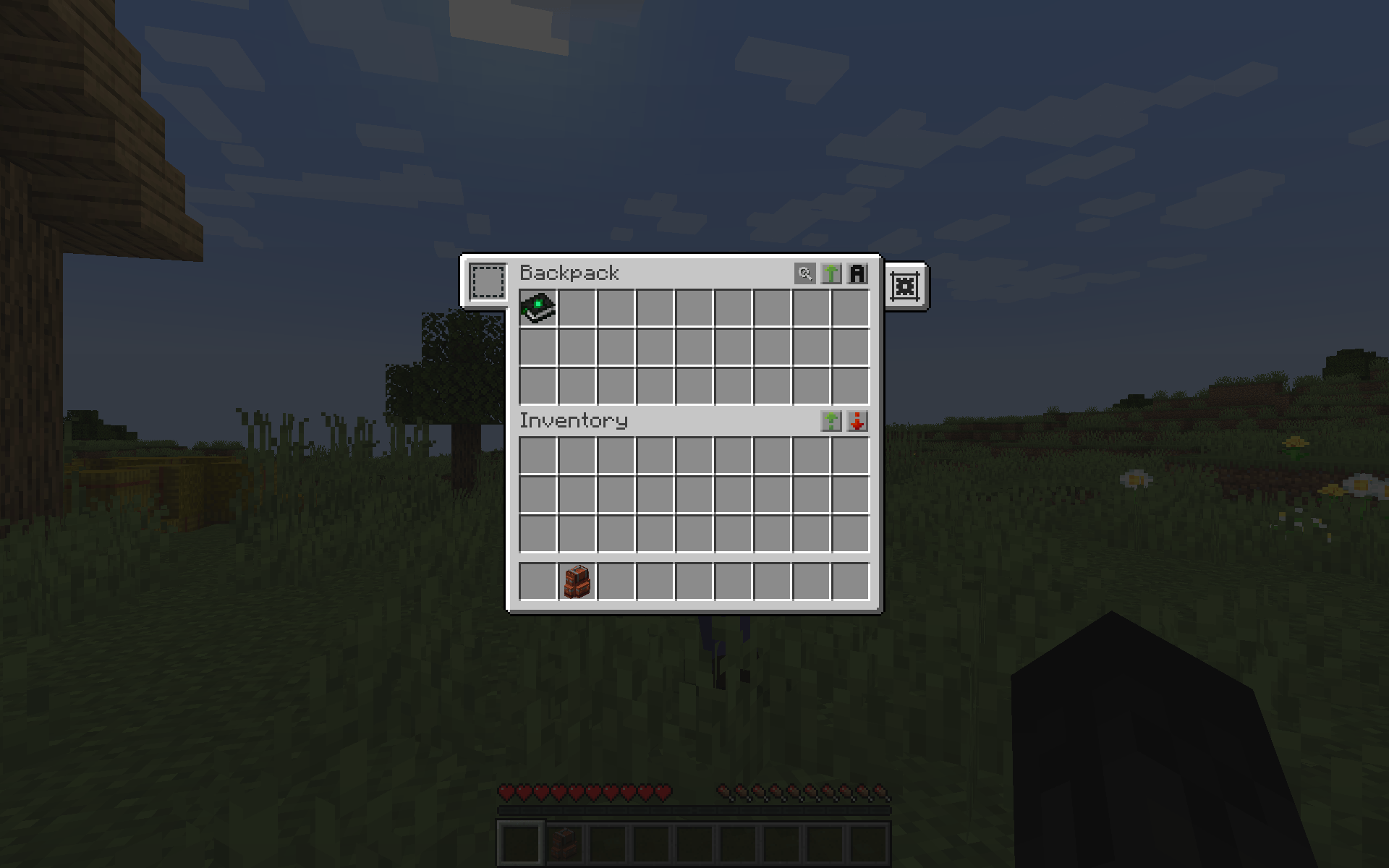What an open backpack looks like.
