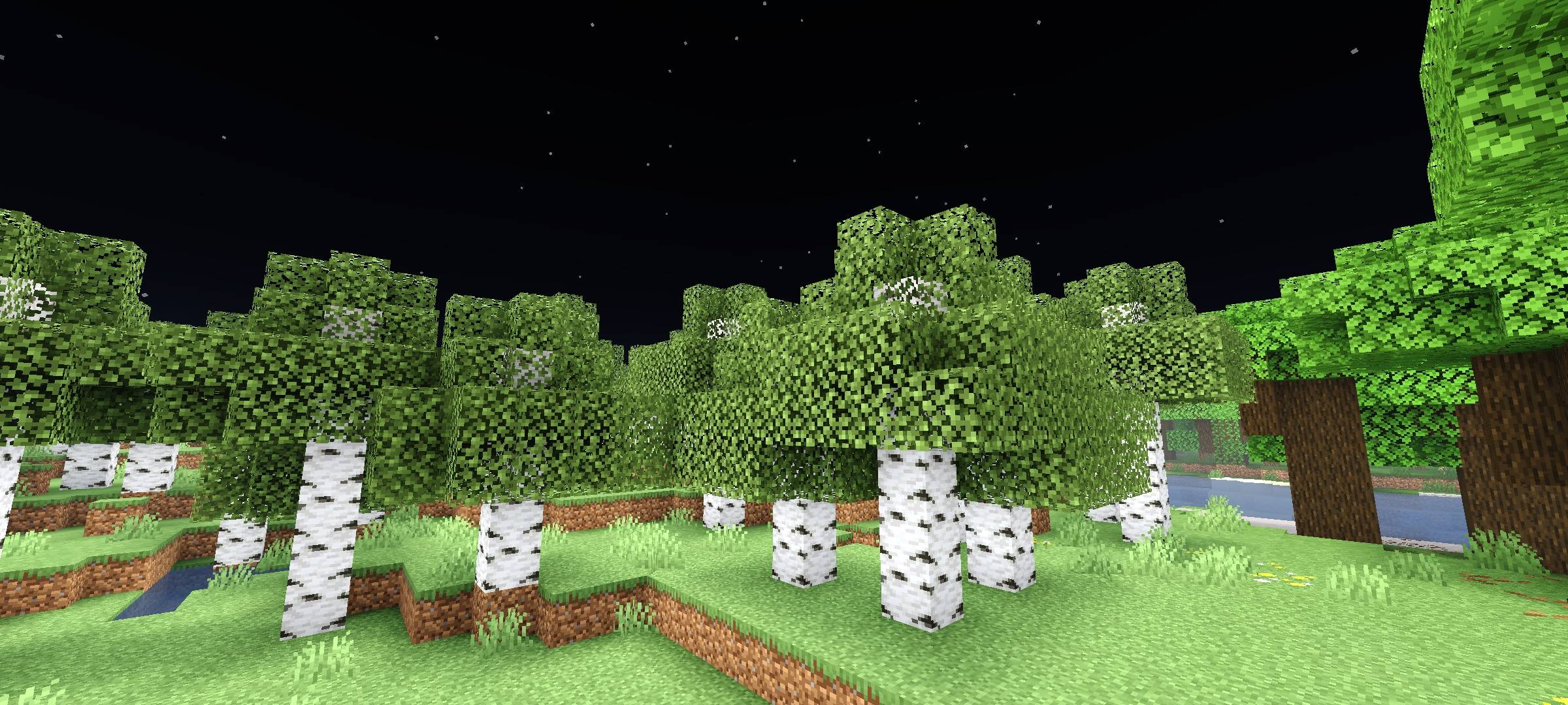 In-game Night View