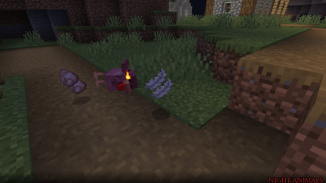 night_animals_screenshot_chicken.png