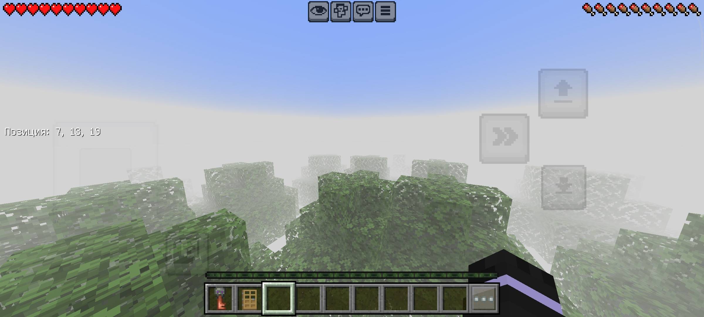 The endless forest 2.0