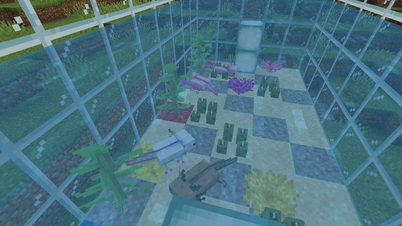 axolotl_tank_ss02.jpg