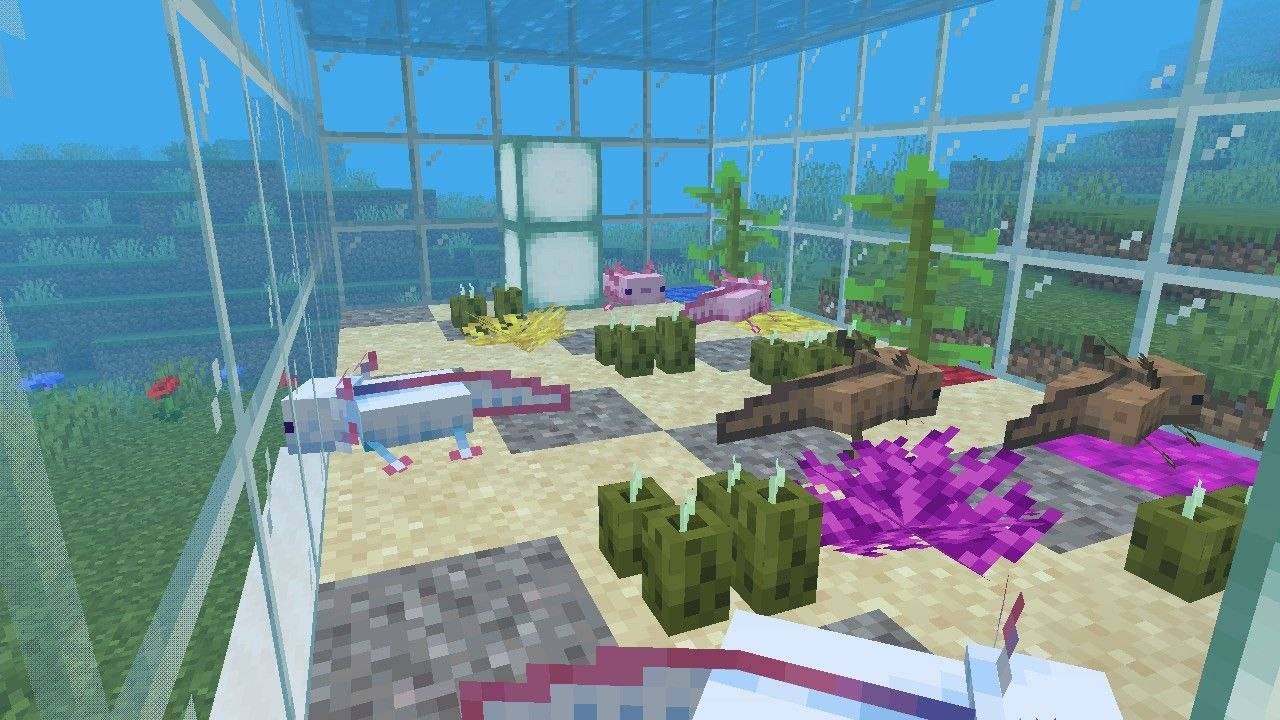 axolotl_tank_ss03.jpg