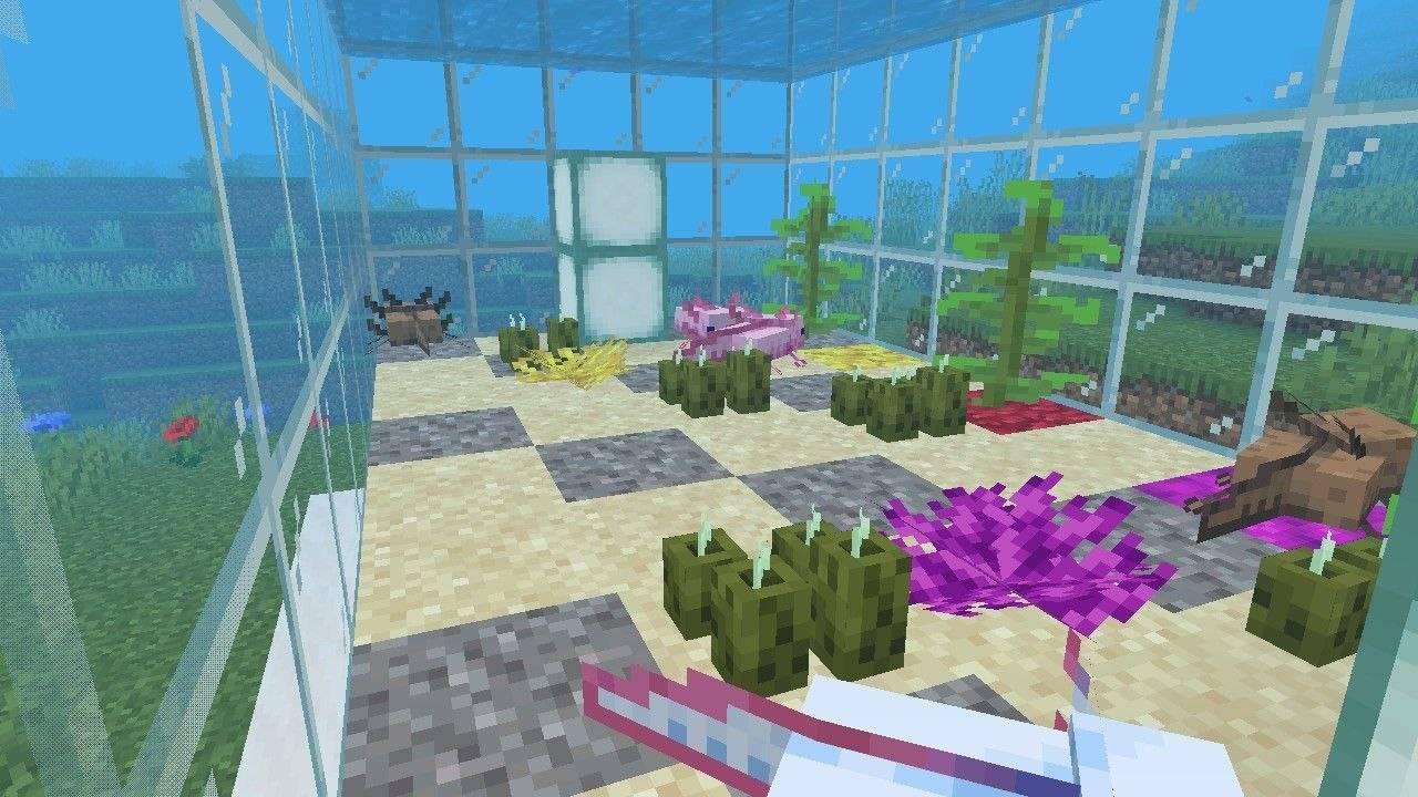 axolotl_tank_ss04.jpg