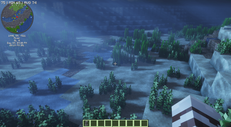 New Underwater Plants.png