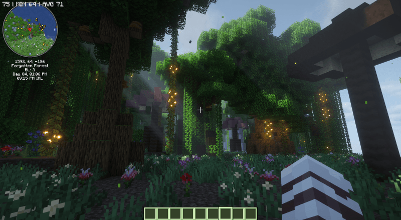 Forgotten Forest.png