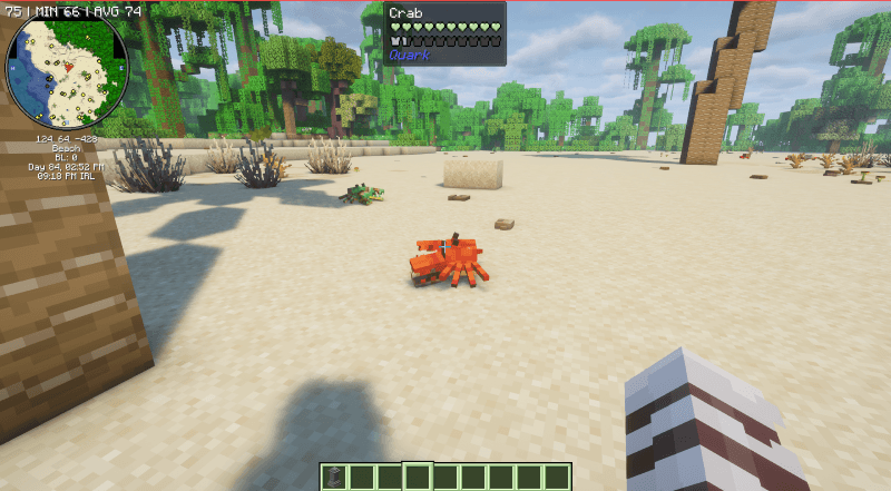 Cute Little Crabs.png