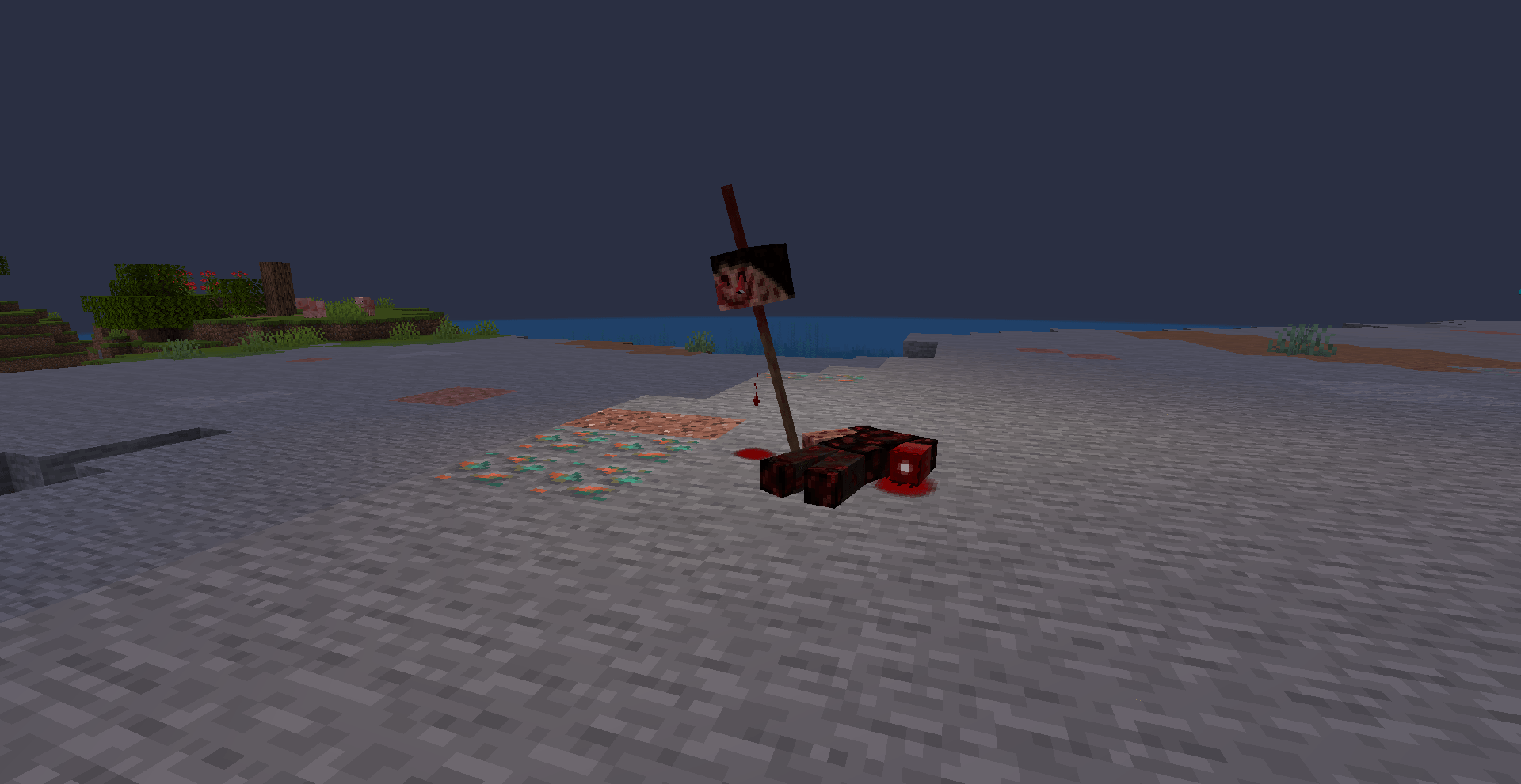Photo 4.png