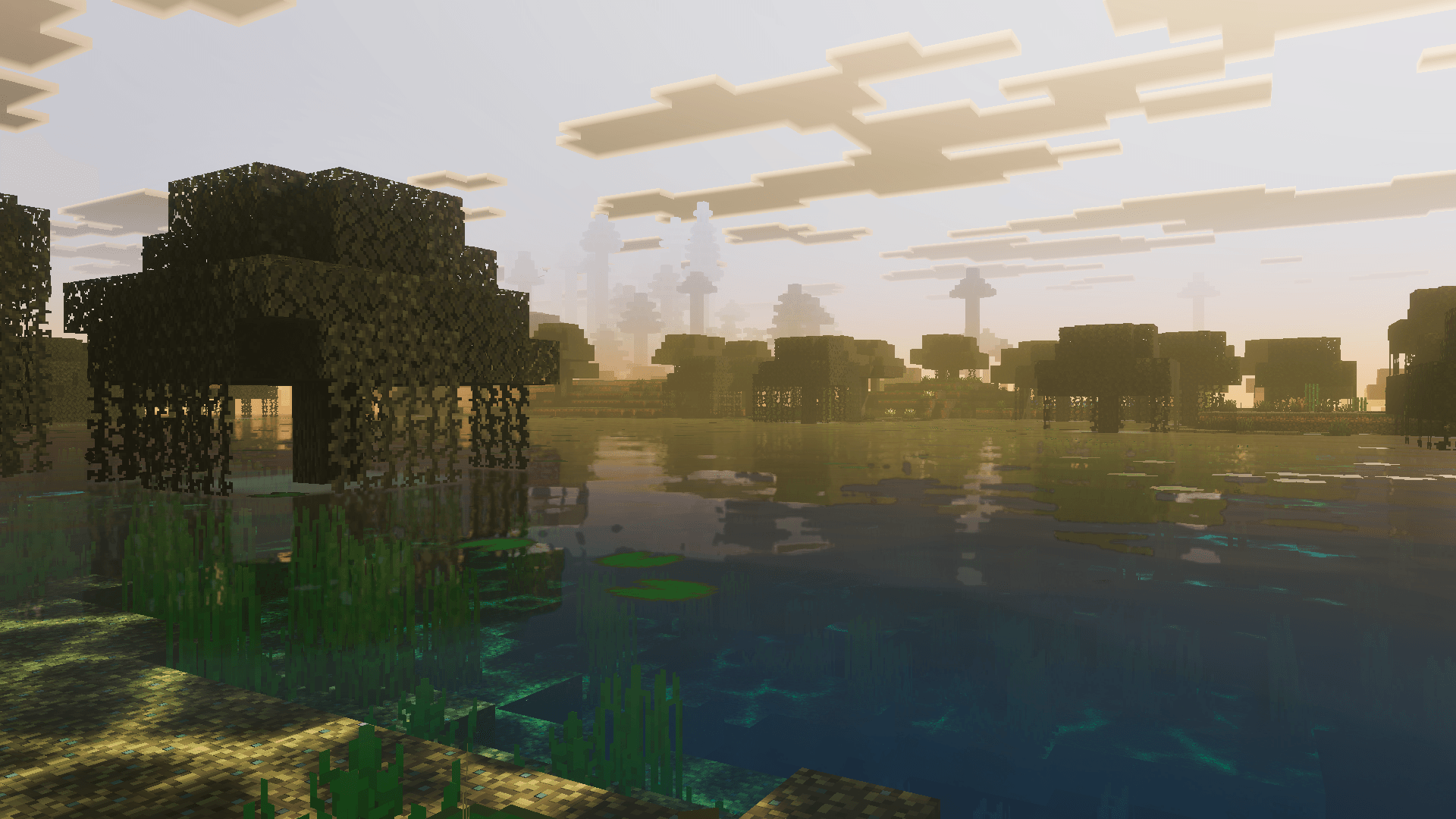 Swampland