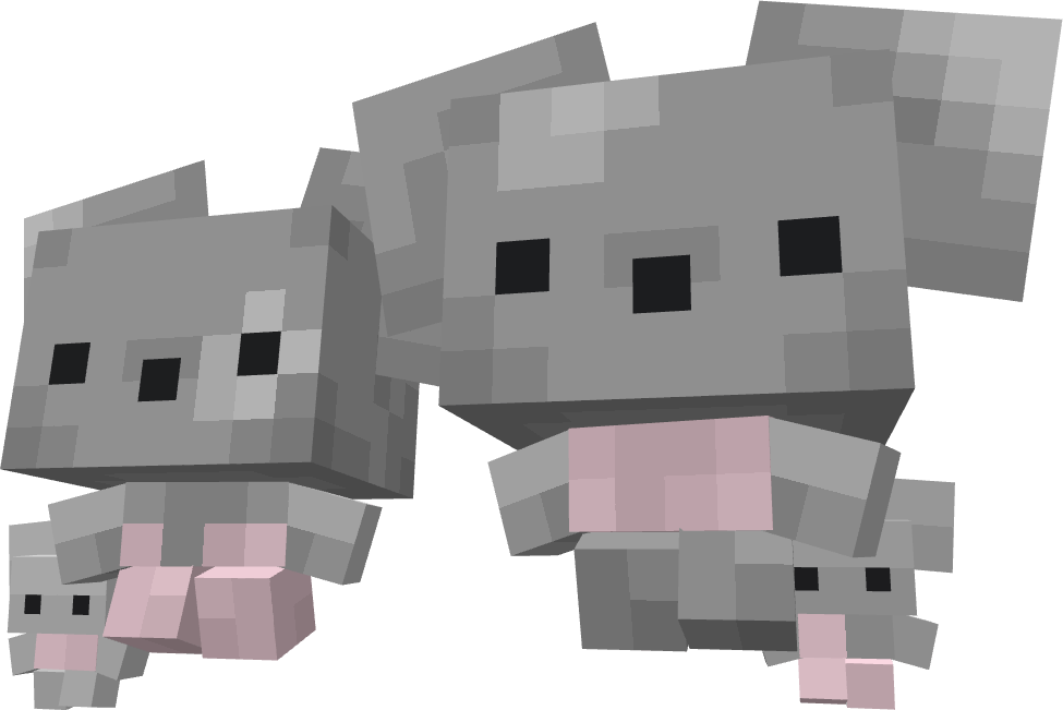 maushold_four.png