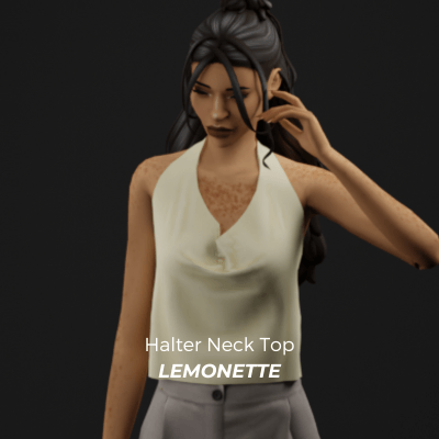 Halter Neck Top.png