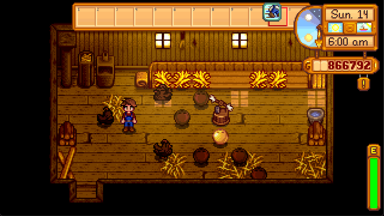 Chicken