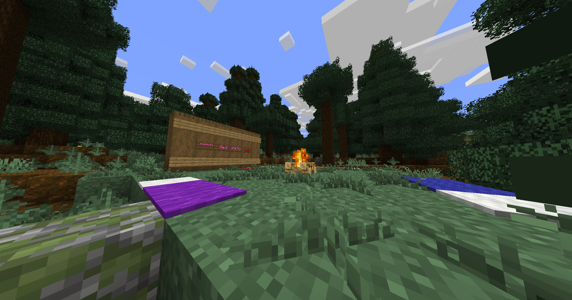Campsite