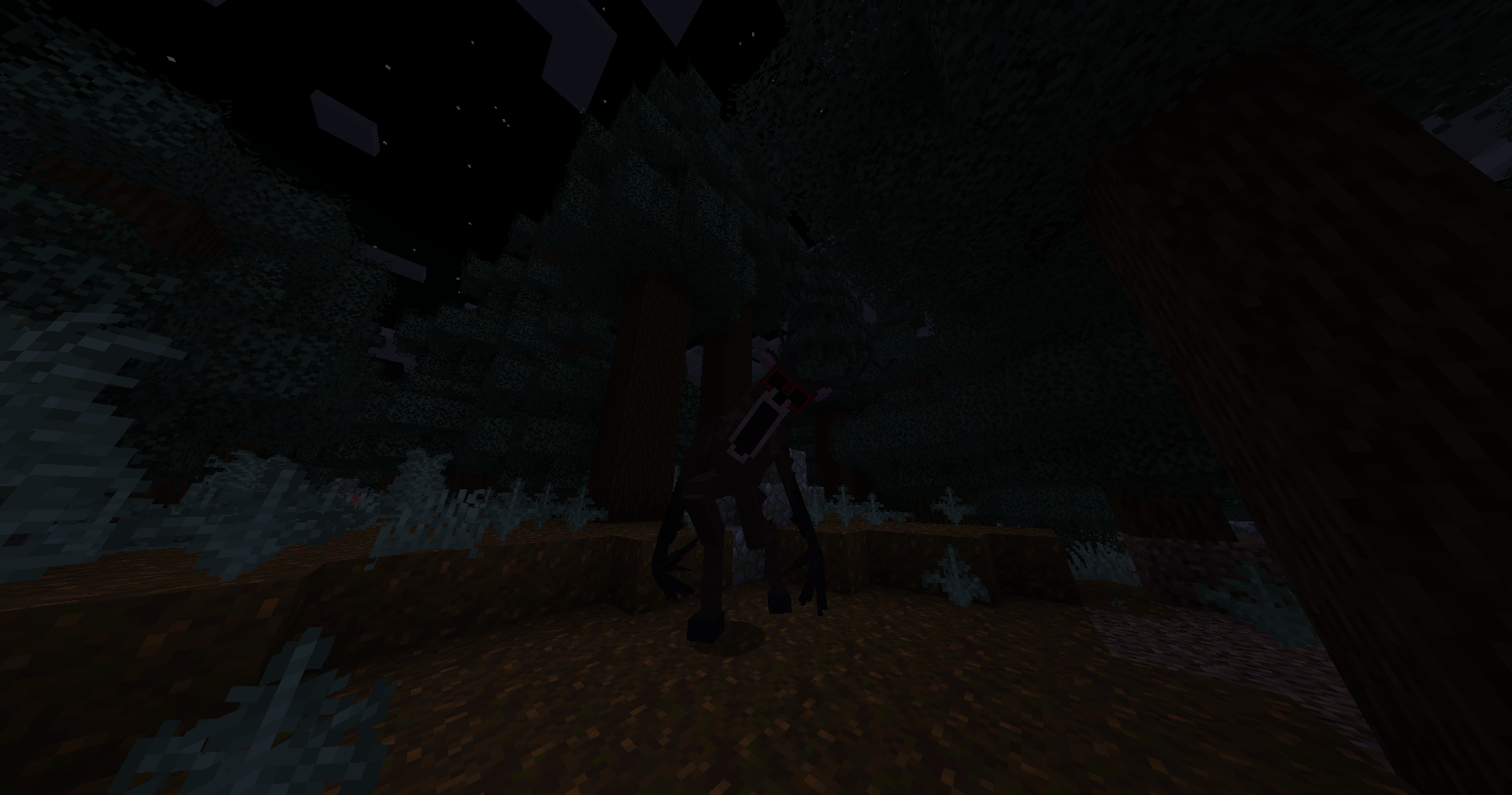 The Deer