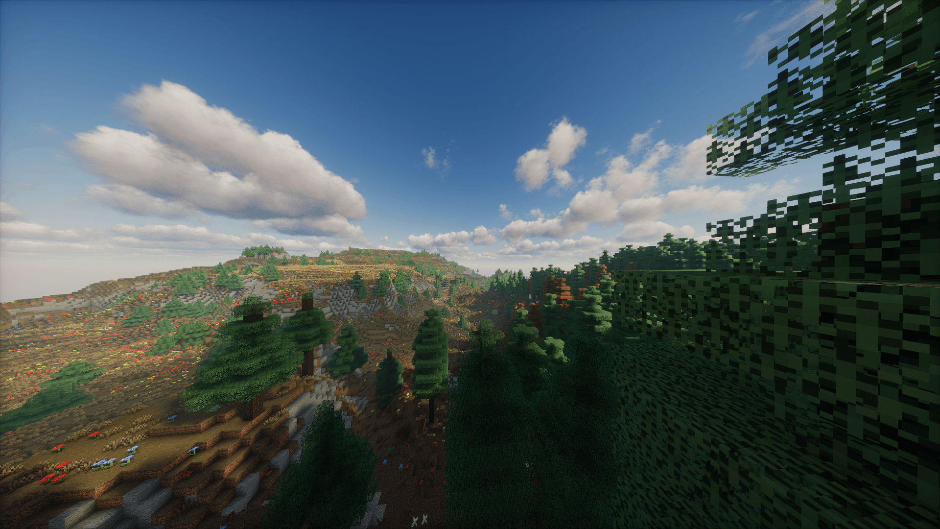 Landscape