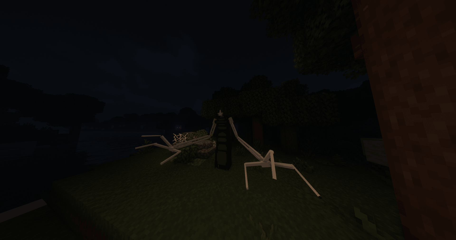 The Stalker