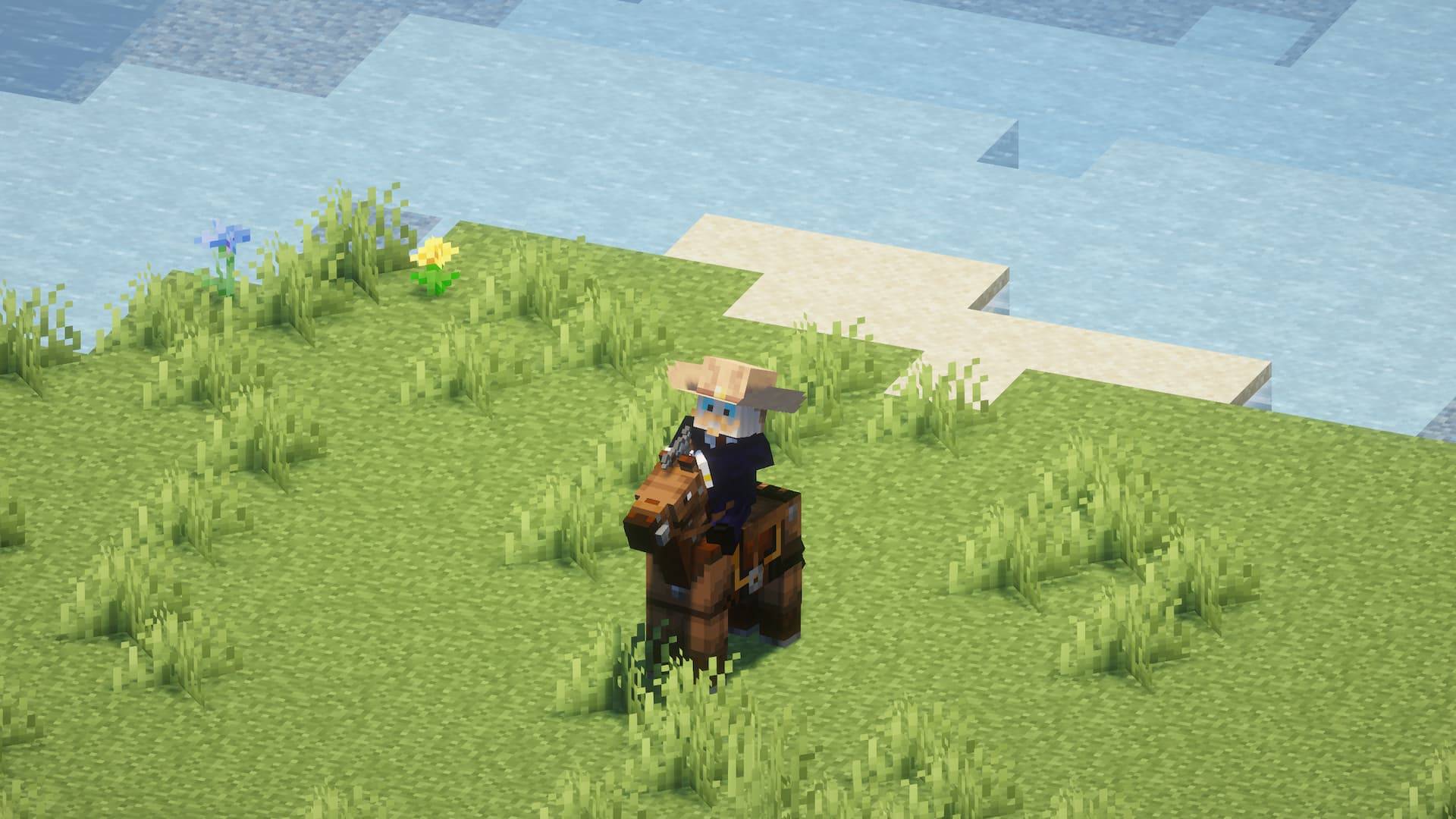 Cowboy Hat