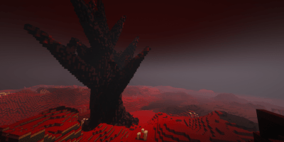 Photo of the False Realm.